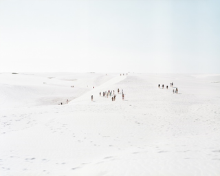 Into the White