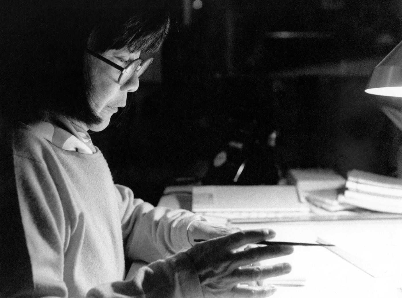 Aoi Huber Kono. Il sensore nascosto