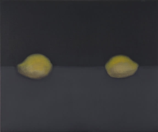 Nature morte, o. T., 2002–2004
olio su tela
50 x 60 cm